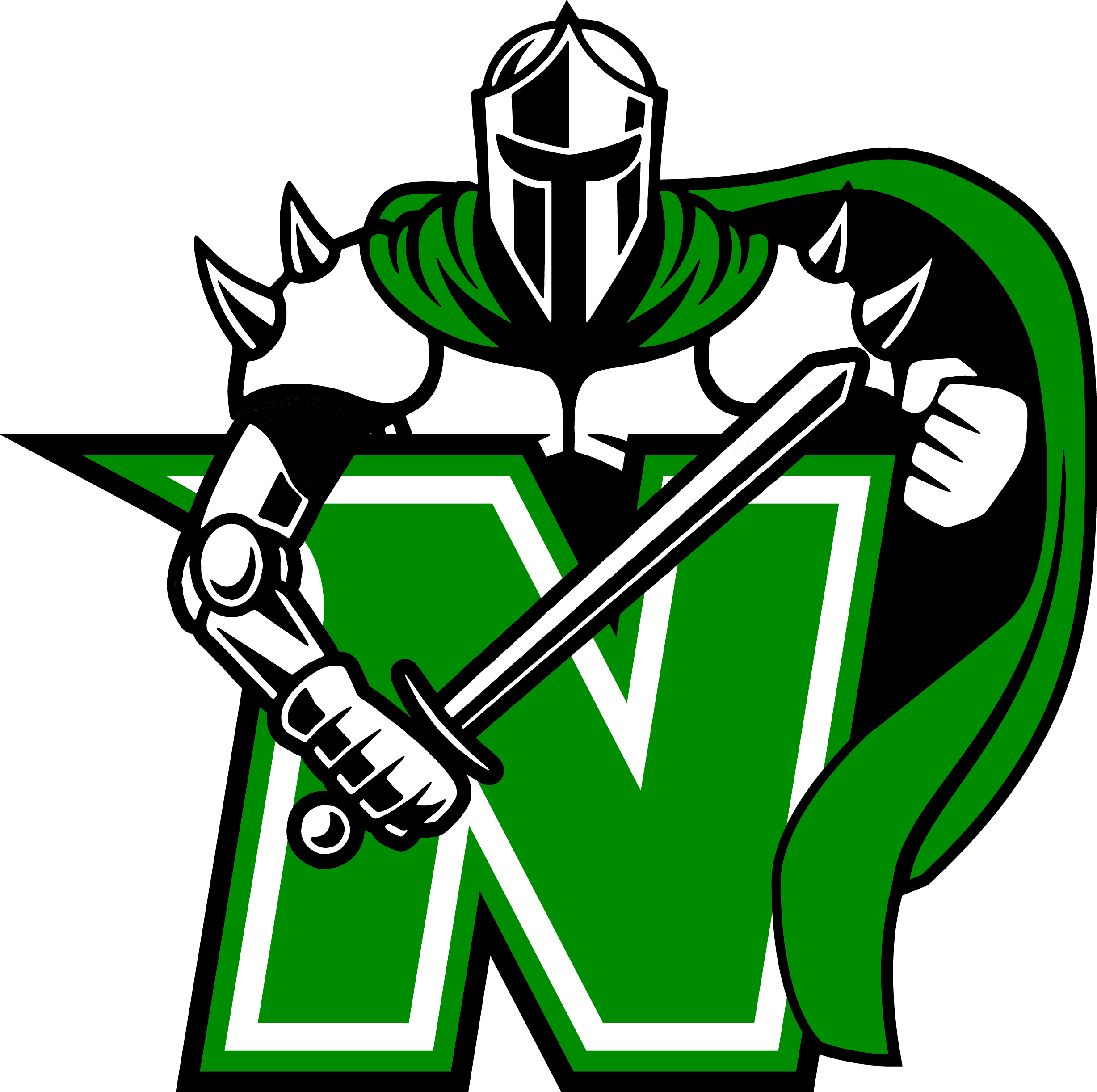 Nordonia High School logo