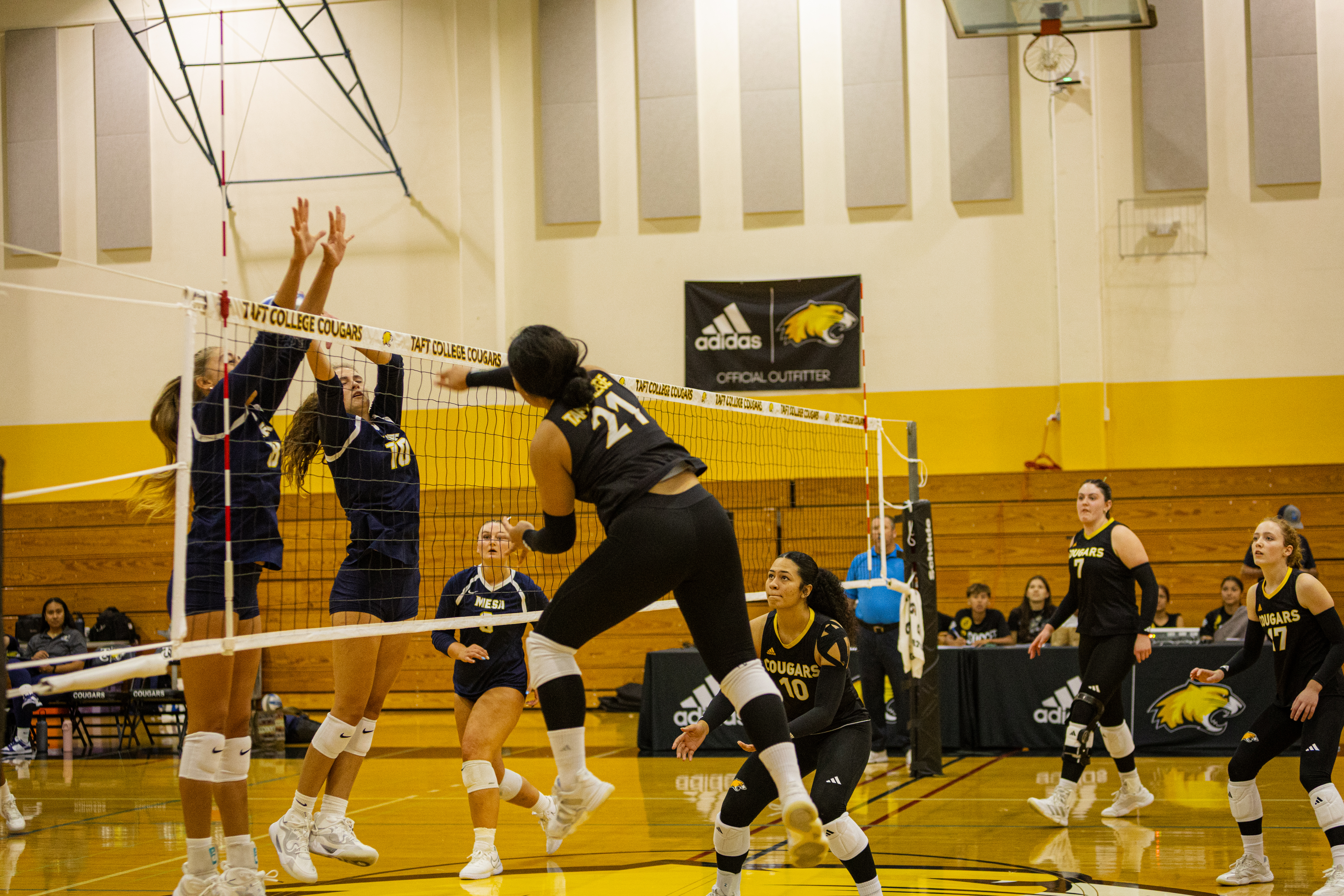 Taft College Cougars Sweep Shasta in Consumnes River Triangular Volleyball Event