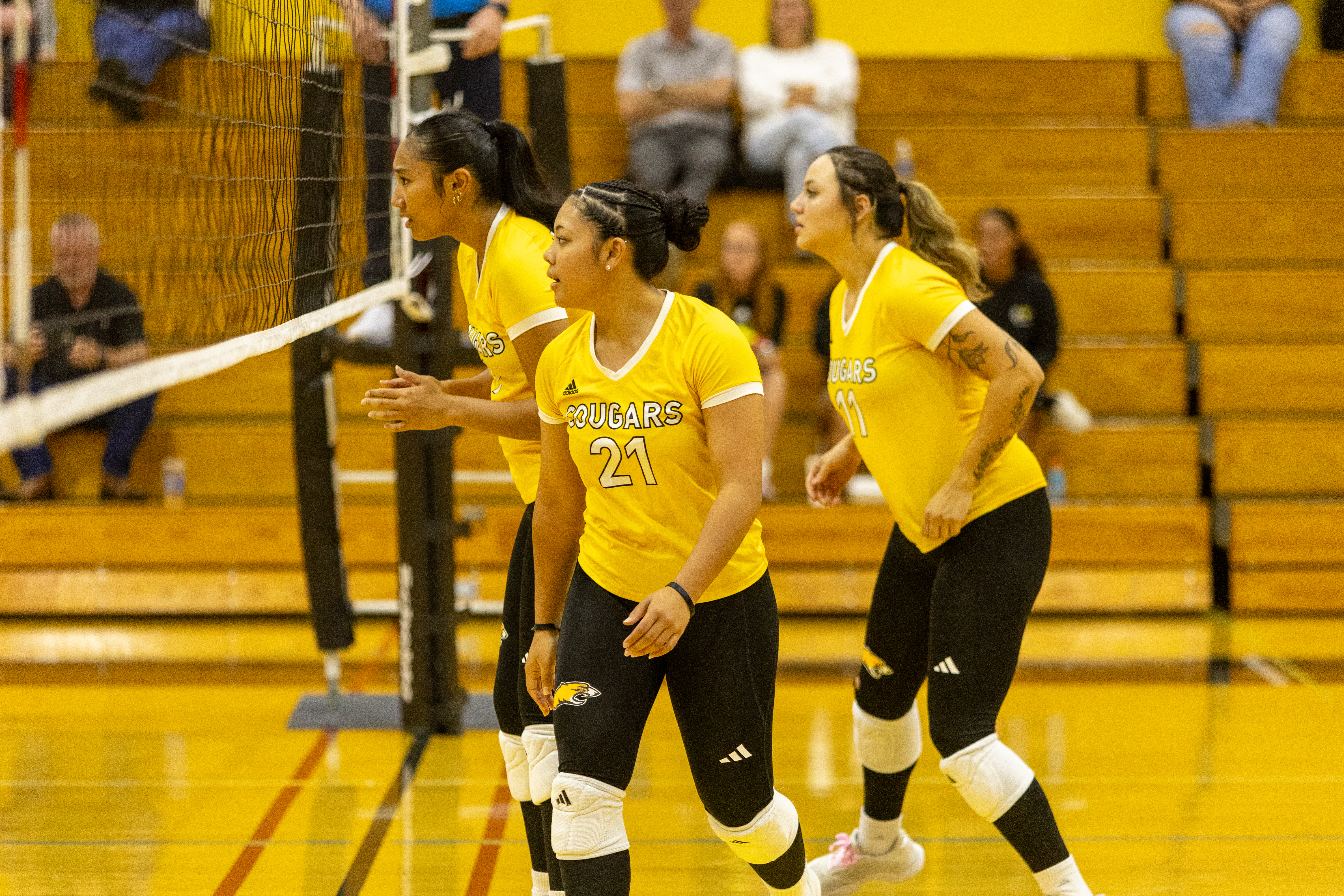 Taft College Cougars Clinch Victory in Final Conference Volleyball Game Against Porterville Pirates