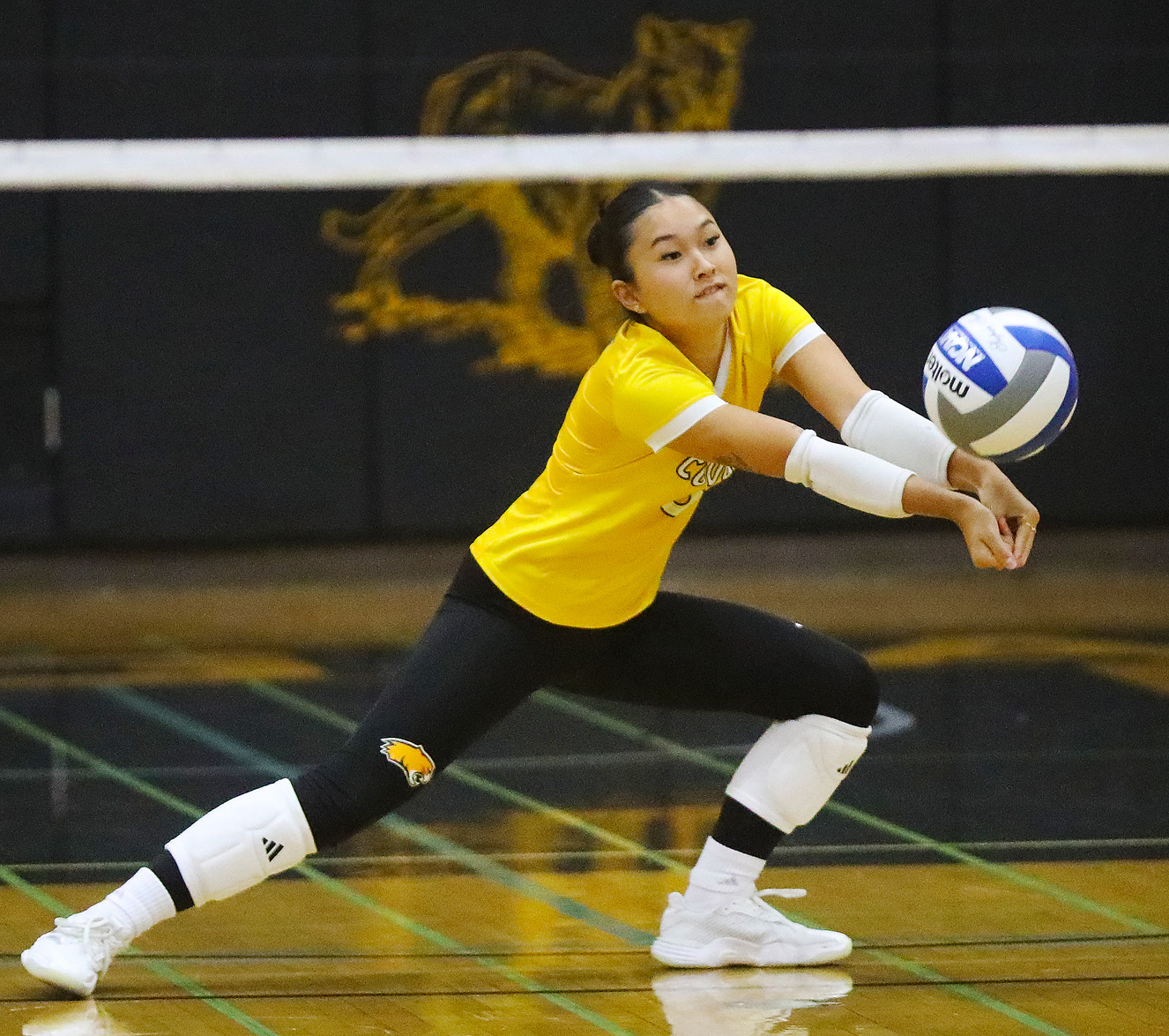 Taft College Cougars Triumph in Volleyball Showdown Against San Bernardino Valley