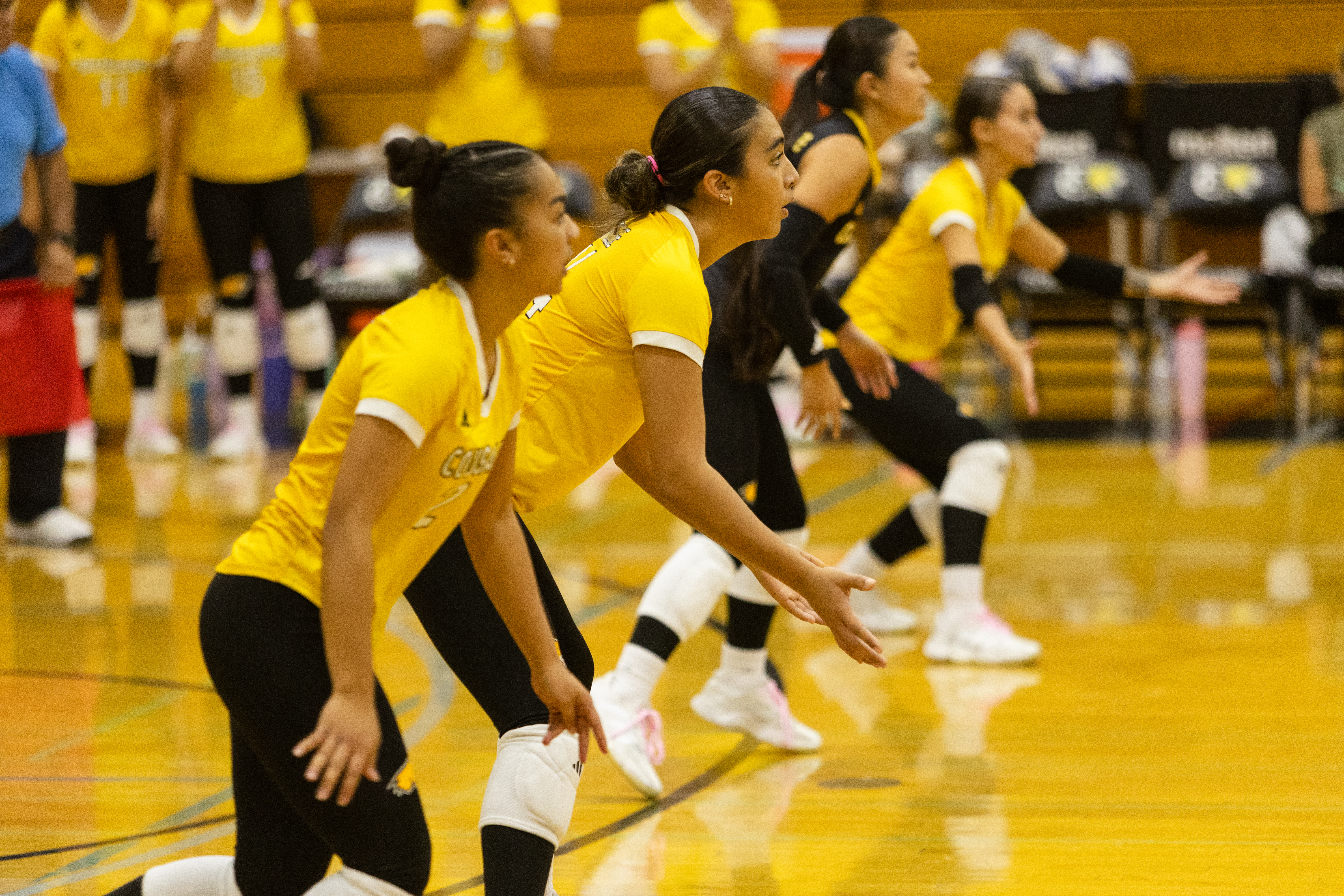 Taft College Cougars Triumph in Straight Sets Over Merced College Lady Blue Devils