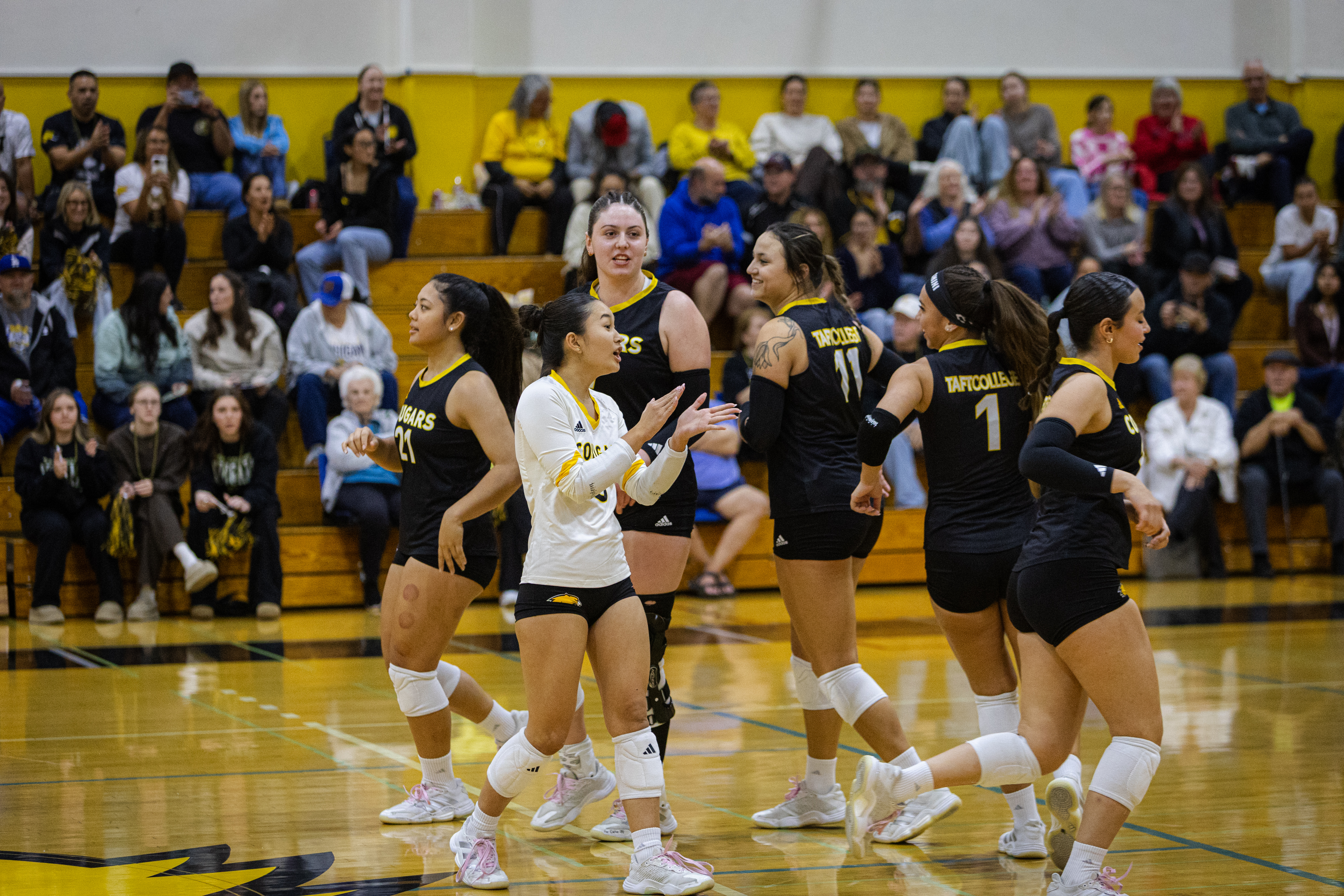 Taft College Women's Volleyball Triumphs in 2nd Round NorCal Playoffs Against Solano College