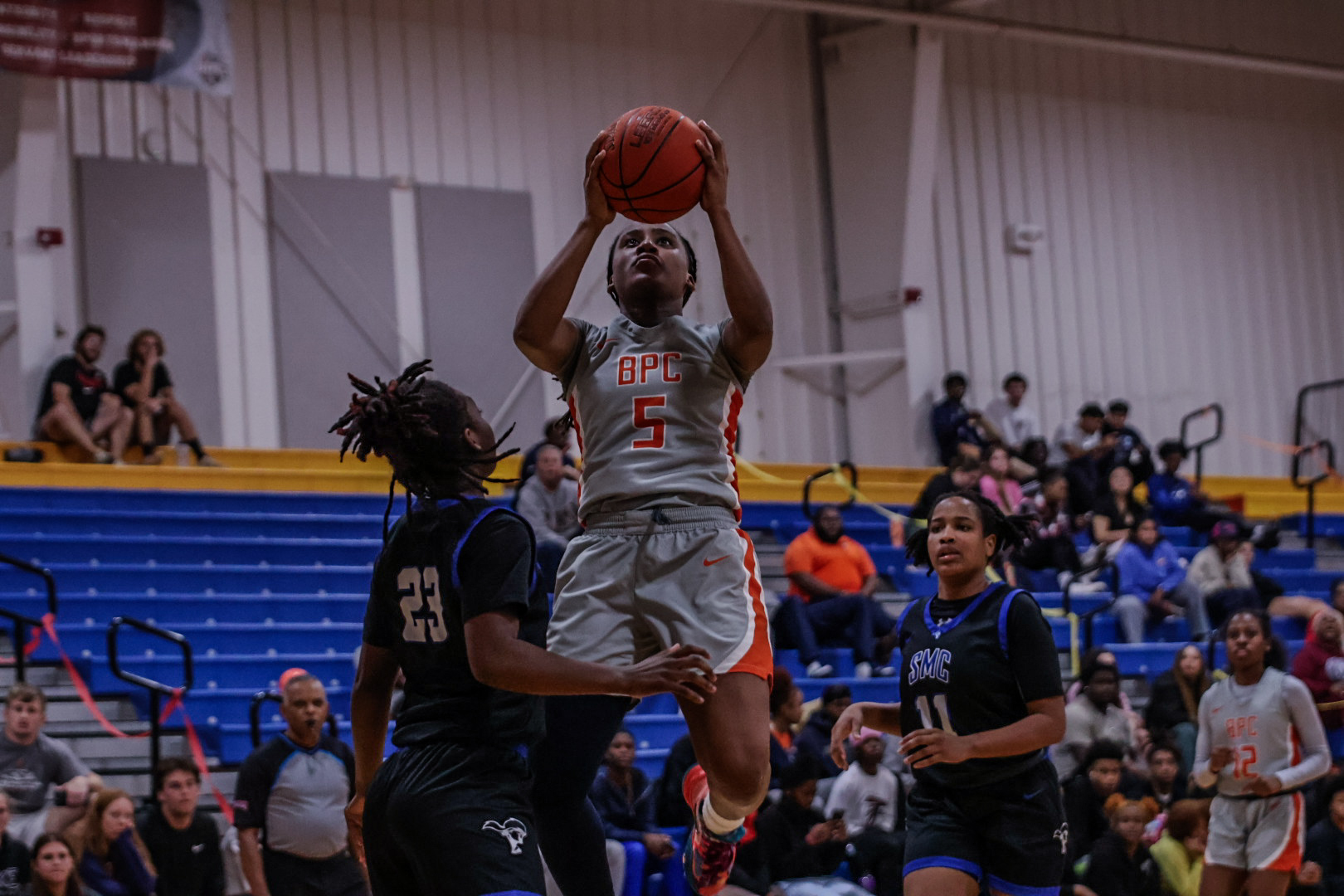 Lady Barons Fall Short Against Lions