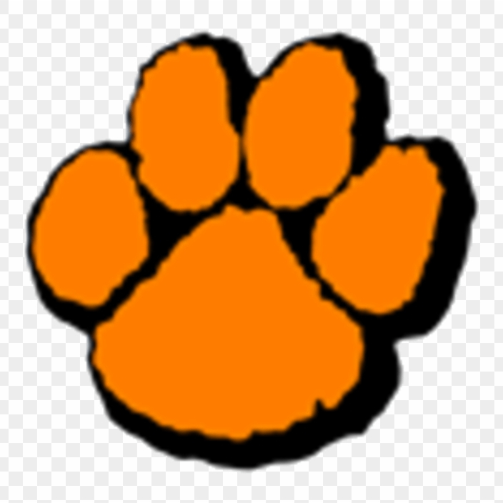 Wheaton-Warrenville South