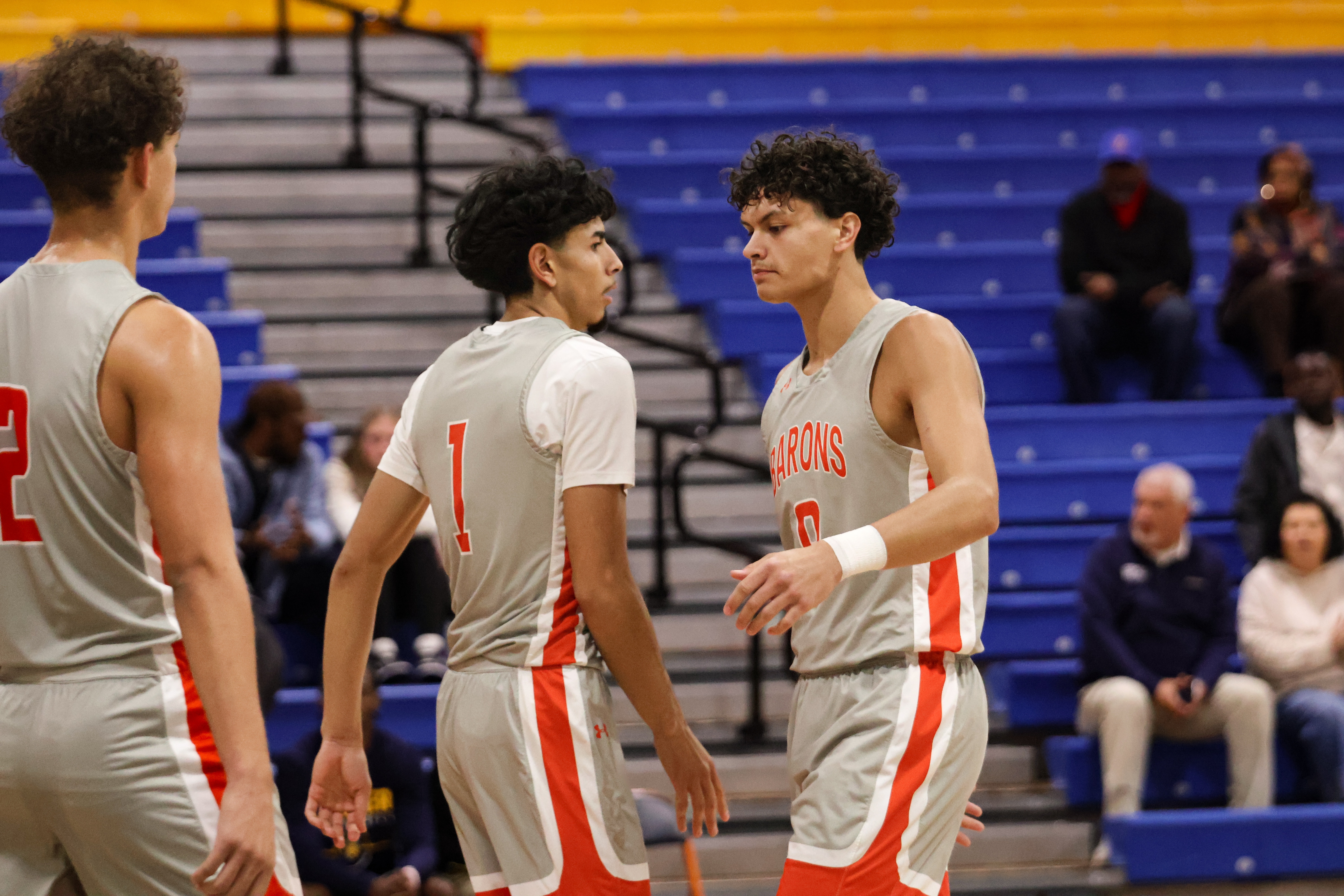 Barons Corral Stallions 