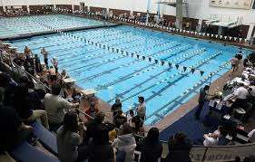 Wildcats Sweep Relays, Power Past St. Francis at Busbey Natatorium