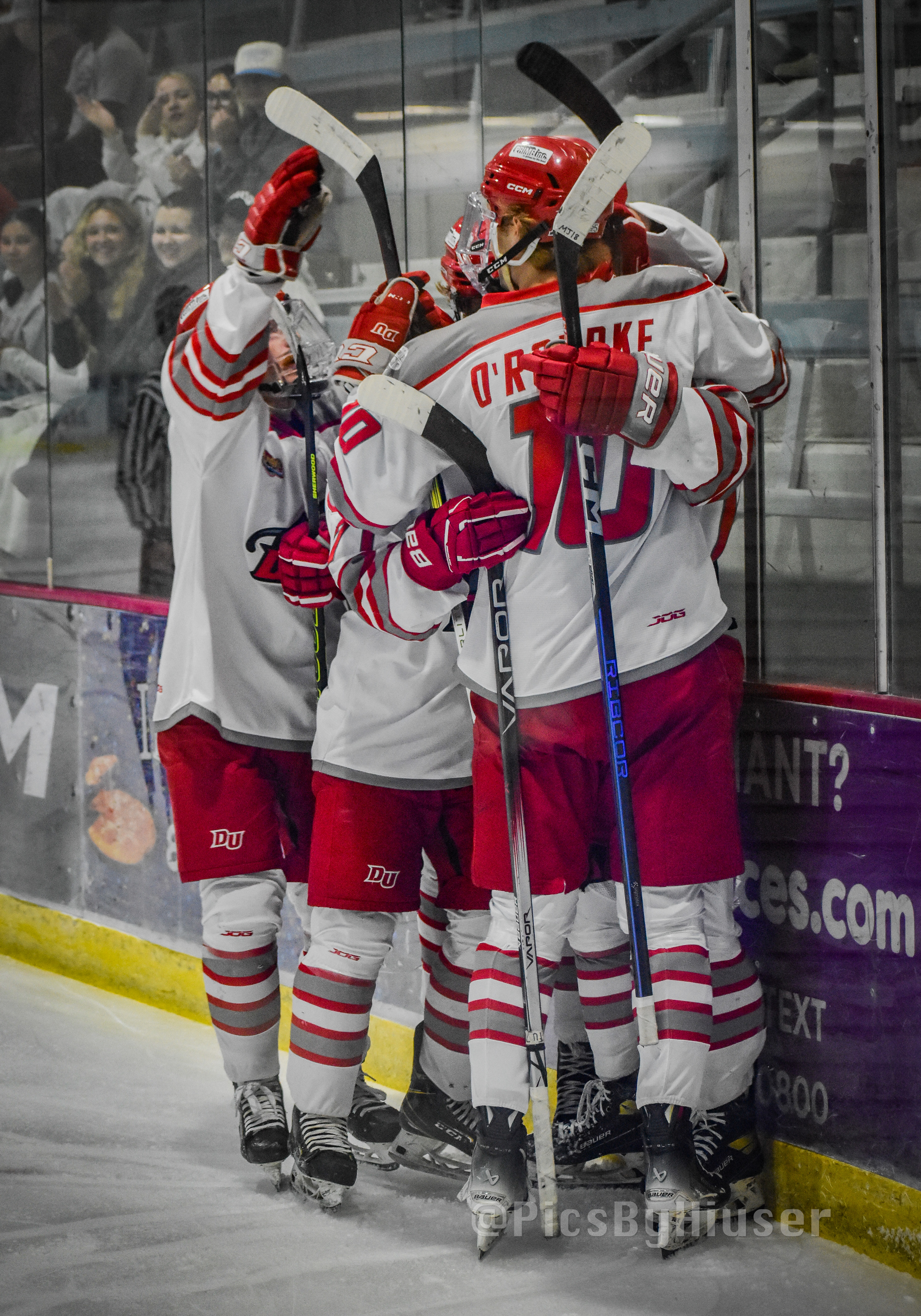 Panthers Complete Sweep Over Louisville Cardinals, Extend Win Streak to Four