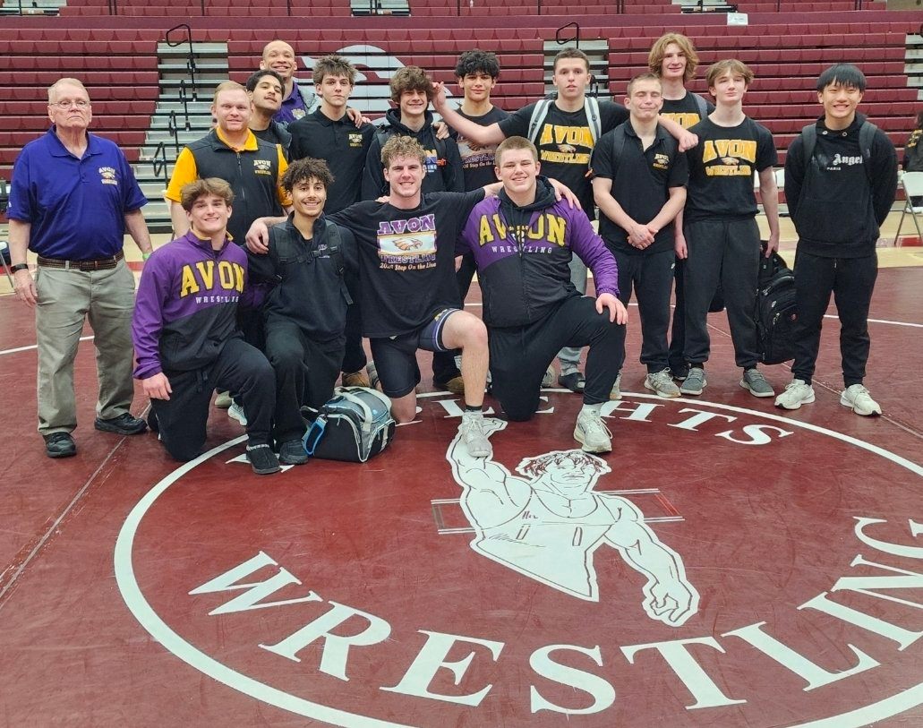 Wrestlers have two sectional champions and one runner-up