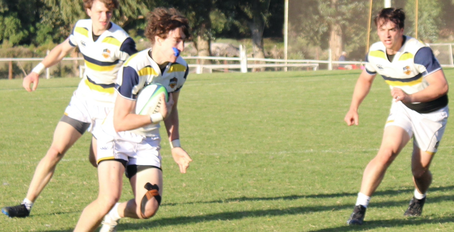 St. Ignatius High School Wildcats Dominate Xavier HS in Rugby Showdown