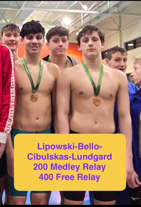 Swimmers send six individuals in eight events to the state meet