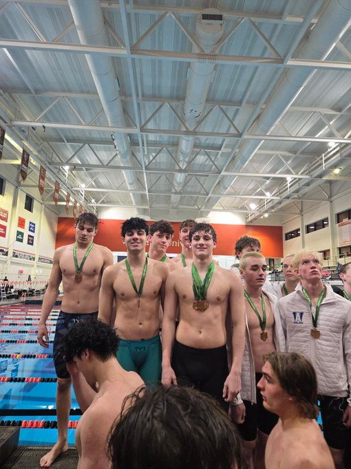 Swimmers send six individuals in eight events to the state meet