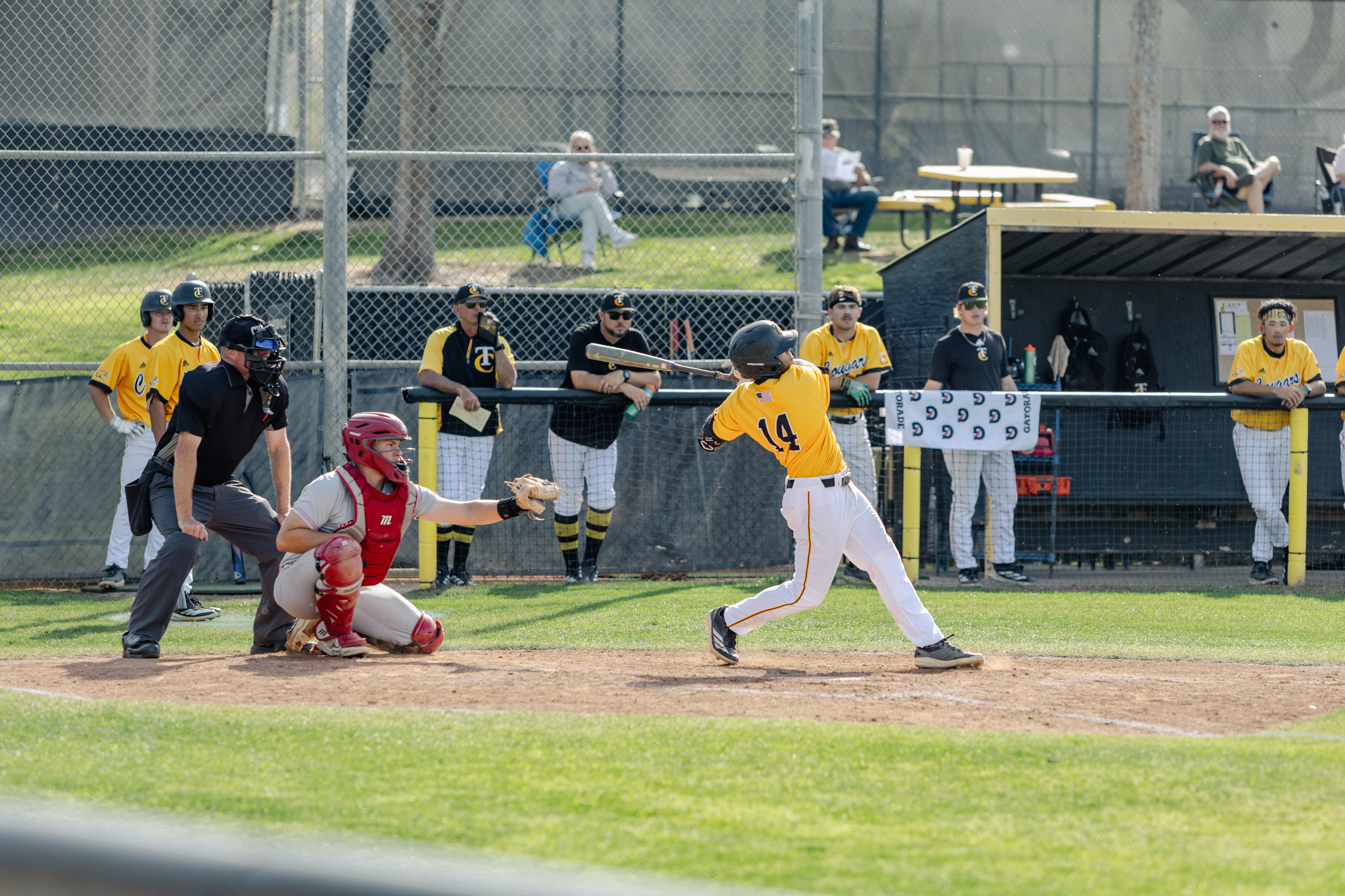 Cougars Battle in Road Doubleheader at Cerritos