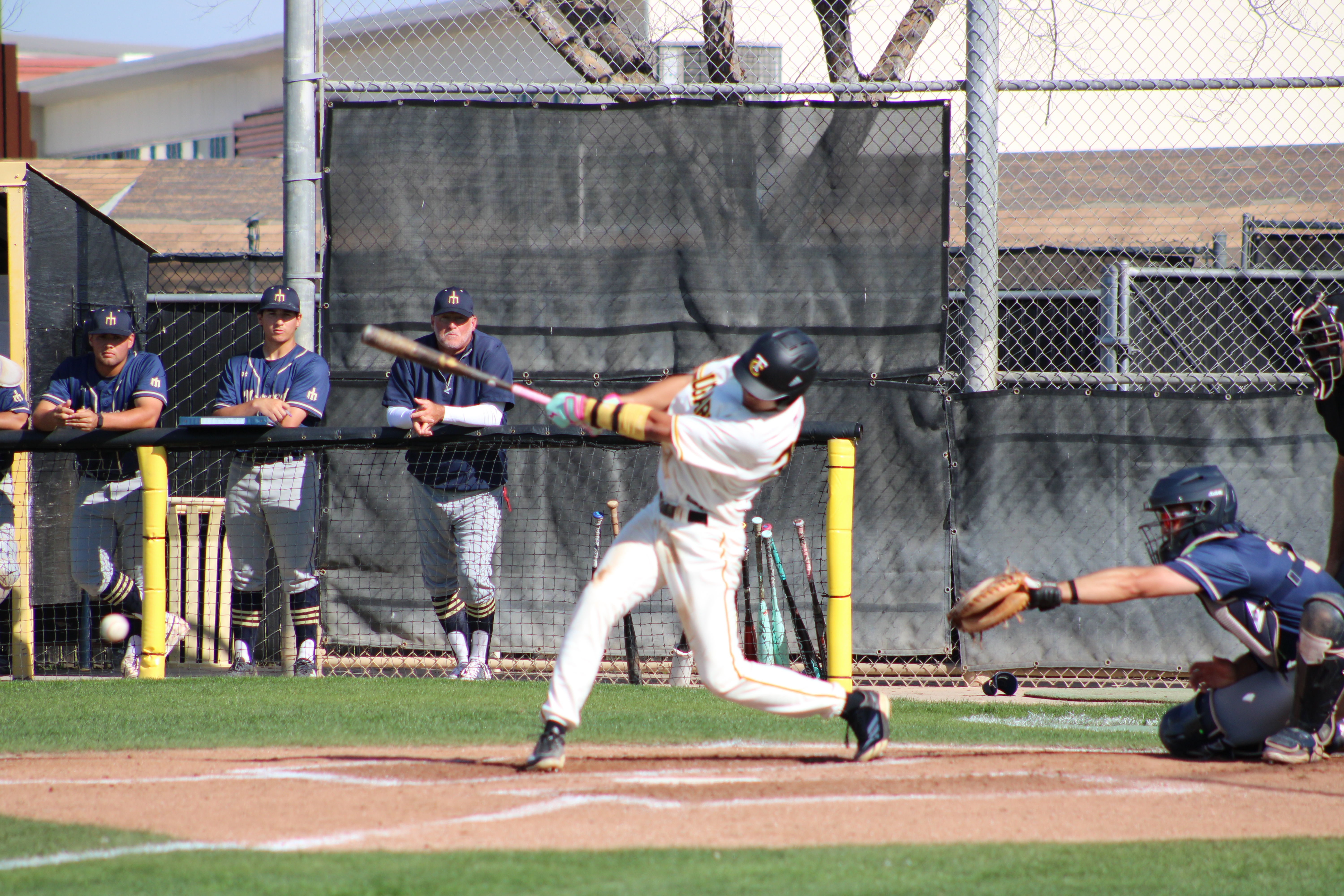 Photo by Pearl Daley.