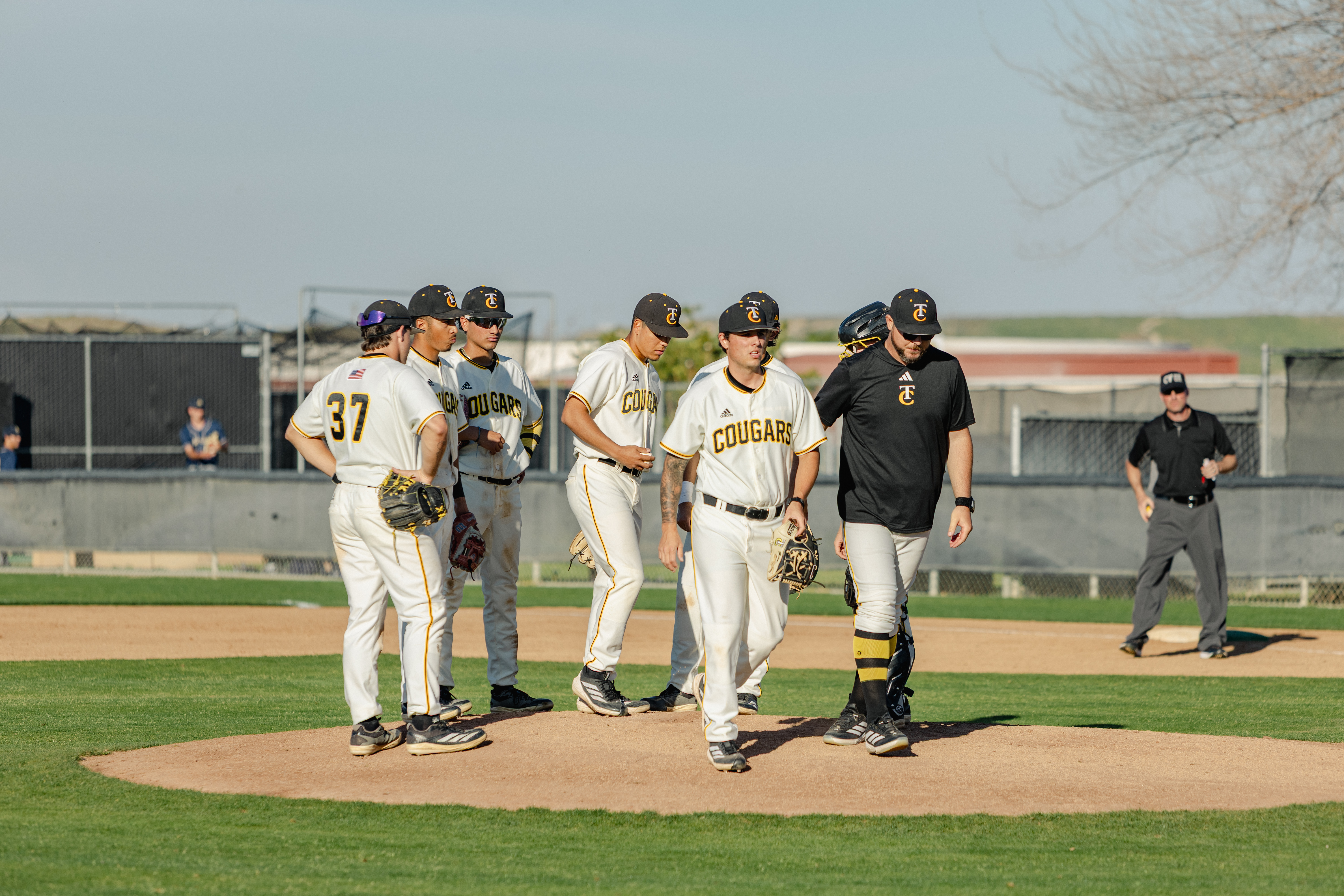 Photo by George Corral.