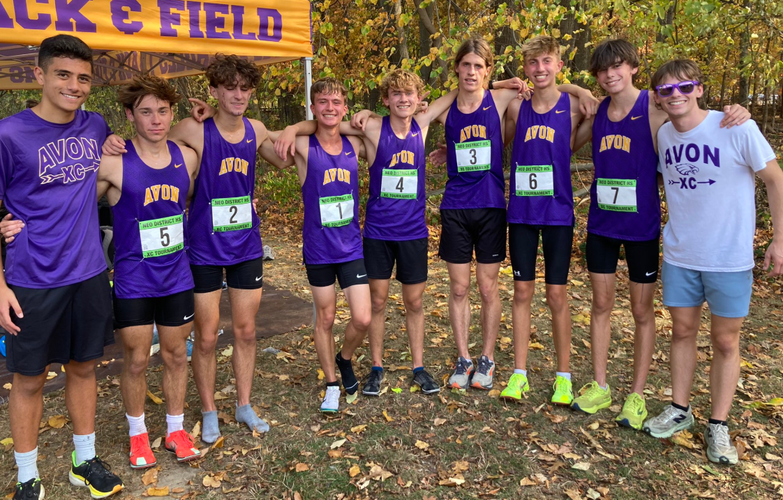 Eagles place third at districts to earn berth in regional meet