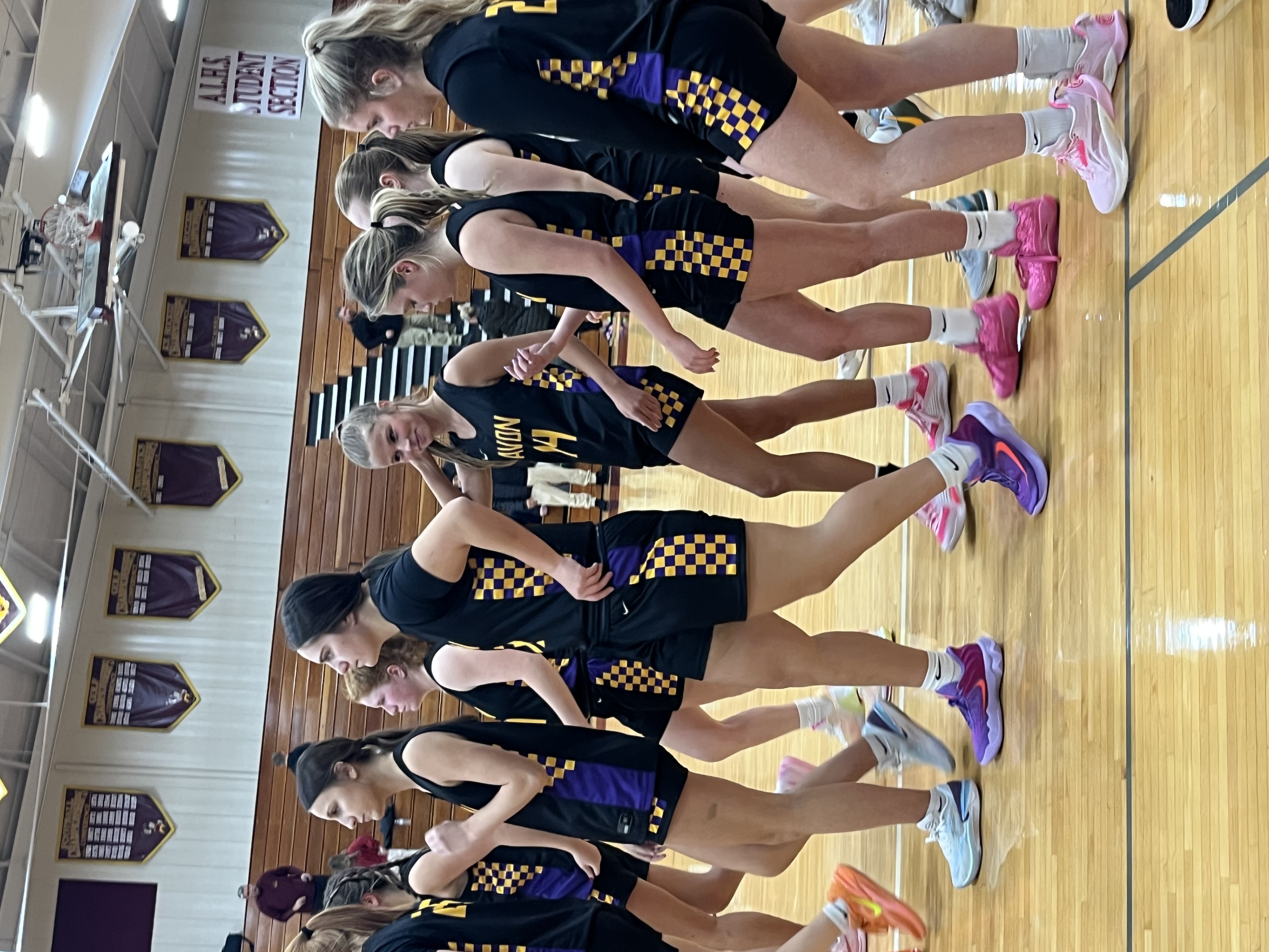 Avon High School Eagles Fall to Lake Shoregals in Conference Clash